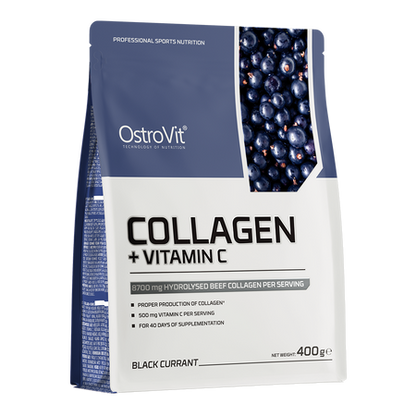 Colágeno 400 g Grosella Negra & Arándano - Proteína, creatina y suplementos originales – LORDXFIT Chile